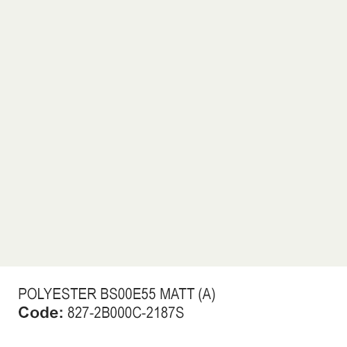POLYESTER BS00E55 MATT (A)